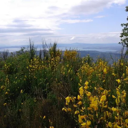 La Casa Gialla Belvedere *