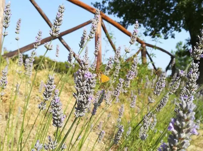 La Casa Gialla Belvedere Holiday home