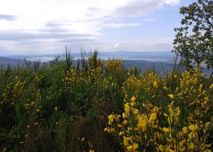 La Casa Gialla Belvedere *