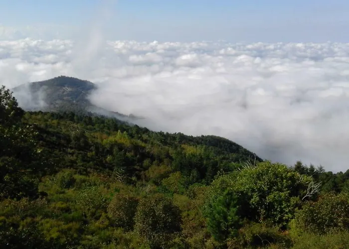 La Casa Gialla Belvedere Holiday home